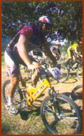 mountain bike